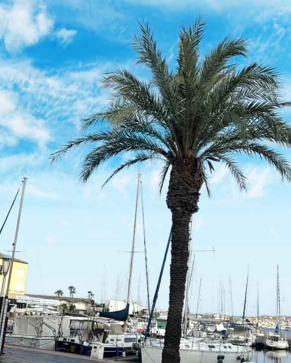 Studio Cosy Climatise Vue Sur Port Agde Exterior photo